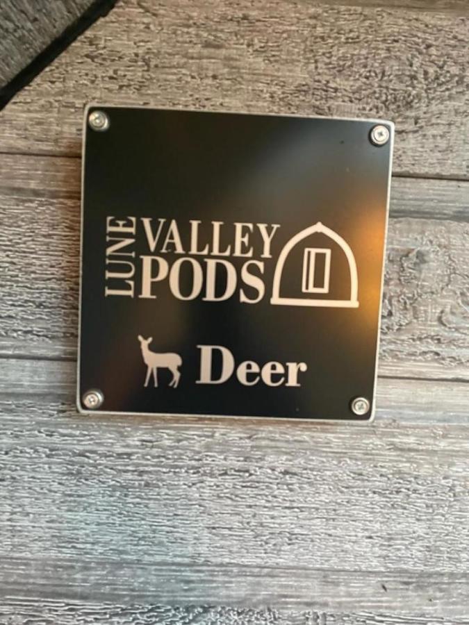 Appartamento Glamping Pods Milngavie Esterno foto